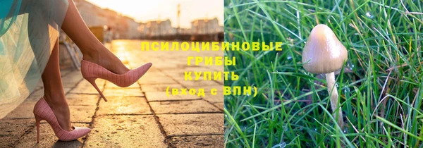 apvp Володарск