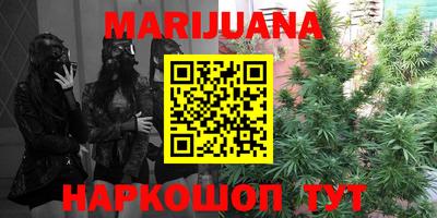 шишки Апшеронск