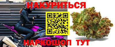 шишки Апшеронск