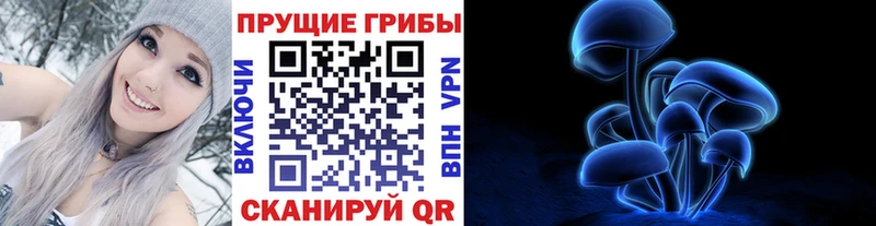 наркошоп  Нурлат  Галлюциногенные грибы Cubensis 