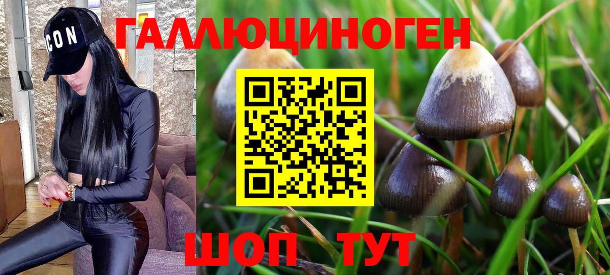 Галлюциногенные грибы мухоморы Нурлат