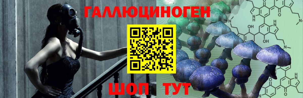 Галлюциногенные грибы MAGIC MUSHROOMS  Псилоцибиновые грибы MAGIC MUSHROOMS  Вход с VPN  Нурлат 