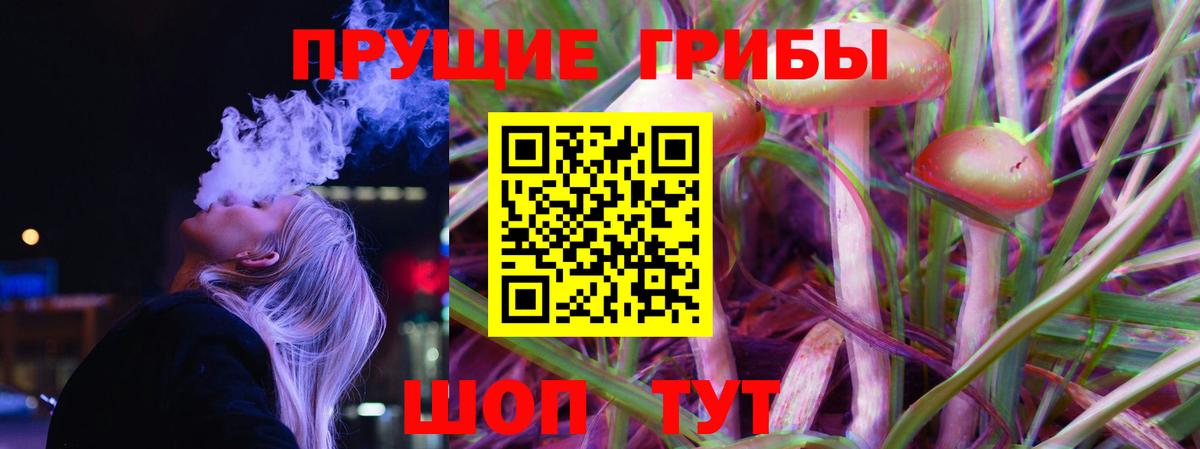 Псилоцибиновые грибы мицелий  Нурлат 