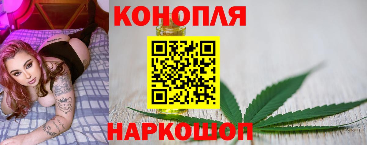 Шишки марихуана сатива Нурлат
